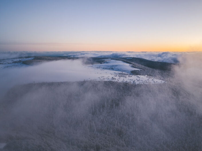 PHOTO PAYSAGE, NATURE, ANIMALIÈRE