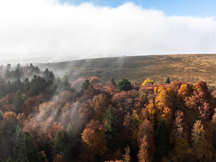 PHOTO PAYSAGE, NATURE, ANIMALIÈRE