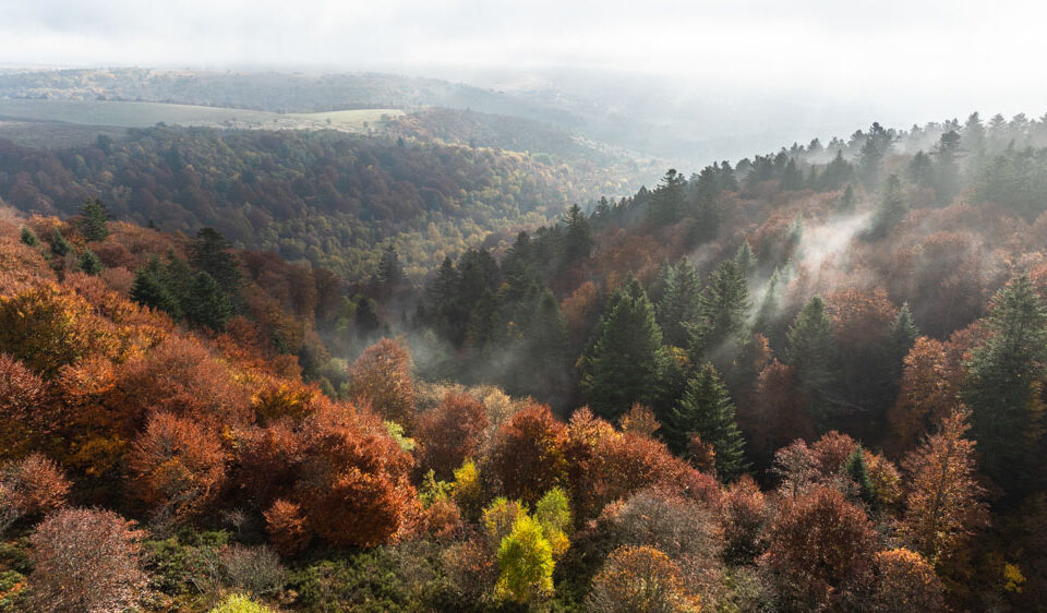 Couleurs d&rsquo;automne au col des Supeyres le 15 octobre 2025